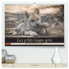 Camel / CALVENDO |  Les p'tits loups gris  (Calendrier mural 2026 DIN A2 vertical) calendrier de bureau | Sonstiges |  Sack Fachmedien