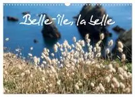 CALVENDO / Le Goffic |  Belle-Île, la belle (Calendrier mural 2026 DIN A3 vertical), CALVENDO calendrier mensuel | Sonstiges |  Sack Fachmedien