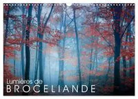 MANGUIN / CALVENDO |  Lumières de Brocéliande (Calendrier mural 2026 DIN A3 vertical), CALVENDO calendrier mensuel | Sonstiges |  Sack Fachmedien