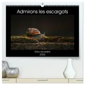 CALVENDO / Christina |  Admirons les escargots  (Calendrier mural 2026 DIN A2 vertical) calendrier de bureau | Sonstiges |  Sack Fachmedien