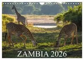 CALVENDO / and Stefanie Krueger |  Zambia (Wall Calendar 2026 DIN A4 landscape), CALVENDO 12 Month Wall Calendar | Sonstiges |  Sack Fachmedien