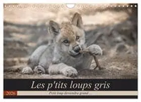 Camel / CALVENDO |  Les p'tits loups gris (Calendrier mural 2026 DIN A4 vertical), CALVENDO calendrier mensuel | Sonstiges |  Sack Fachmedien