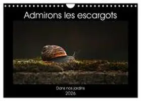Christina / CALVENDO |  Admirons les escargots (Calendrier mural 2026 DIN A4 vertical), CALVENDO calendrier mensuel | Sonstiges |  Sack Fachmedien