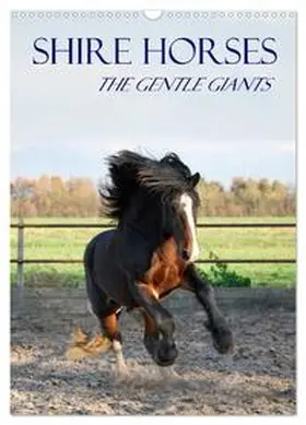 Wesdijk / CALVENDO |  Shire Horses The Gentle Giants (Wall Calendar 2026 DIN A3 portrait), CALVENDO 12 Month Wall Calendar | Sonstiges |  Sack Fachmedien