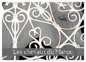 THEBAULT / CALVENDO |  Les chevaux du Maroc (Calendrier mural 2026 DIN A3 vertical), CALVENDO calendrier mensuel | Sonstiges |  Sack Fachmedien