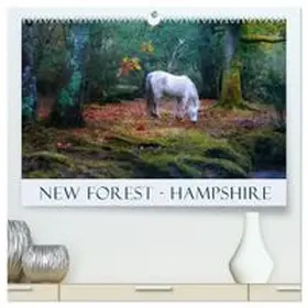 CALVENDO / Kruse |  New Forest Hampshire (High Quality Premium Wall Calendar 2026 DIN A2 landscape),CALVENDO 12 Month Wall Calendar | Sonstiges |  Sack Fachmedien