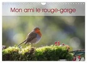 BROSSEAU MATOSSY / CALVENDO |  Mon ami le rouge-gorge (Calendrier mural 2026 DIN A4 vertical), CALVENDO calendrier mensuel | Sonstiges |  Sack Fachmedien