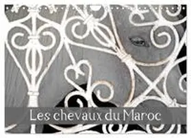 CALVENDO / THEBAULT |  Les chevaux du Maroc (Calendrier mural 2026 DIN A4 vertical), CALVENDO calendrier mensuel | Sonstiges |  Sack Fachmedien