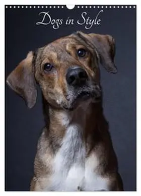 CALVENDO / Stark Sugarsweet - Photo |  Dogs in Style (Wall Calendar 2026 DIN A3 portrait), CALVENDO 12 Month Wall Calendar | Sonstiges |  Sack Fachmedien