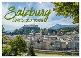 CALVENDO / Viola |  SALZBURG Lovely Old Town (Wall Calendar 2026 DIN A3 landscape), CALVENDO 12 Month Wall Calendar | Sonstiges |  Sack Fachmedien
