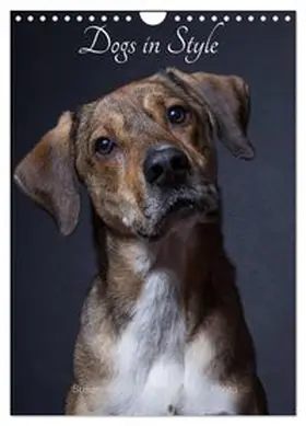 CALVENDO / Stark Sugarsweet - Photo |  Dogs in Style (Wall Calendar 2026 DIN A4 portrait), CALVENDO 12 Month Wall Calendar | Sonstiges |  Sack Fachmedien