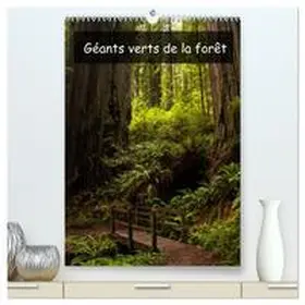 Metzke / CALVENDO |  Géants verts de la forêt  (Calendrier mural 2026 DIN A2 horizontal) calendrier de bureau | Sonstiges |  Sack Fachmedien