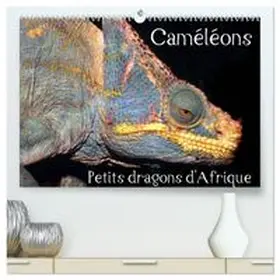 CALVENDO / Hellier |  Caméléons - Petits dragons d'Afrique.  (Calendrier mural 2026 DIN A2 vertical) calendrier de bureau | Sonstiges |  Sack Fachmedien