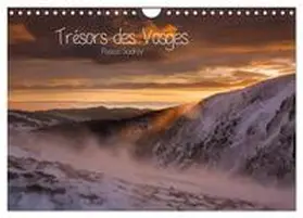 Gadroy / CALVENDO |  Trésors des Vosges (Calendrier mural 2026 DIN A4 vertical), CALVENDO calendrier mensuel | Sonstiges |  Sack Fachmedien