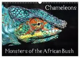 Hellier / CALVENDO |  Chameleons Monsters of the African Bush (Wall Calendar 2026 DIN A3 landscape), CALVENDO 12 Month Wall Calendar | Sonstiges |  Sack Fachmedien