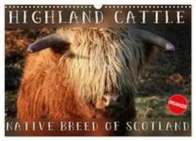 Cross / CALVENDO |  Highland Cattle - Native Breed of Scotland (Wall Calendar 2026 DIN A3 landscape), CALVENDO 12 Month Wall Calendar | Sonstiges |  Sack Fachmedien