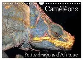 CALVENDO / Hellier |  Caméléons - Petits dragons d'Afrique. (Calendrier mural 2026 DIN A4 vertical), CALVENDO calendrier mensuel | Sonstiges |  Sack Fachmedien
