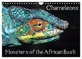 Hellier / CALVENDO |  Chameleons Monsters of the African Bush (Wall Calendar 2026 DIN A4 landscape), CALVENDO 12 Month Wall Calendar | Sonstiges |  Sack Fachmedien
