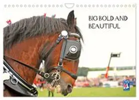 CALVENDO / images |  BIG BOLD AND BEAUTIFUL (Wall Calendar 2026 DIN A4 landscape), CALVENDO 12 Month Wall Calendar | Sonstiges |  Sack Fachmedien