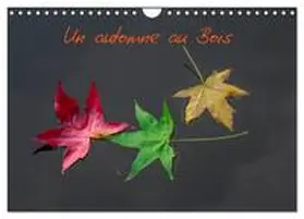CALVENDO / C. Neves |  Un automne au Bois (Calendrier mural 2026 DIN A4 vertical), CALVENDO calendrier mensuel | Sonstiges |  Sack Fachmedien