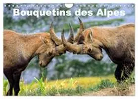 CALVENDO / Duvernay |  Bouquetins des Alpes (Calendrier mural 2026 DIN A4 vertical), CALVENDO calendrier mensuel | Sonstiges |  Sack Fachmedien