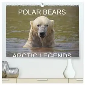 CALVENDO / Cumming |  POLAR BEARS - ARCTIC LEGENDS (High Quality Premium Wall Calendar 2026 DIN A2 landscape),CALVENDO 12 Month Wall Calendar | Sonstiges |  Sack Fachmedien