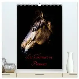BERTRAND / CALVENDO |  Chevaux en Portraits  (Calendrier mural 2026 DIN A2 horizontal) calendrier de bureau | Sonstiges |  Sack Fachmedien