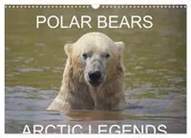 CALVENDO / Cumming |  POLAR BEARS - ARCTIC LEGENDS (Wall Calendar 2026 DIN A3 landscape), CALVENDO 12 Month Wall Calendar | Sonstiges |  Sack Fachmedien