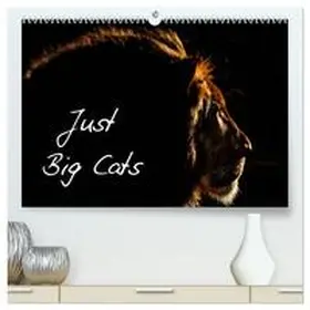 Dalyn / CALVENDO |  Just Big Cats (High Quality Premium Wall Calendar 2026 DIN A2 landscape),CALVENDO 12 Month Wall Calendar | Sonstiges |  Sack Fachmedien