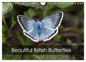 Downes / CALVENDO |  Beautiful British Butterflies (Wall Calendar 2026 DIN A4 landscape), CALVENDO 12 Month Wall Calendar | Sonstiges |  Sack Fachmedien
