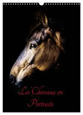 BERTRAND / CALVENDO |  Chevaux en Portraits (Calendrier mural 2026 DIN A3 horizontal), CALVENDO calendrier mensuel | Sonstiges |  Sack Fachmedien