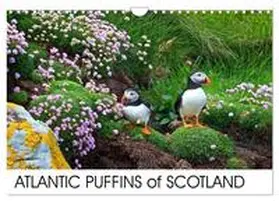 Cumming / CALVENDO |  ATLANTIC PUFFINS OF SCOTLAND (Wall Calendar 2026 DIN A4 landscape), CALVENDO 12 Month Wall Calendar | Sonstiges |  Sack Fachmedien