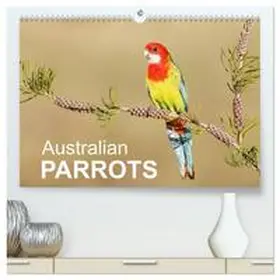 - birdimagency / CALVENDO |  Australian Parrots (High Quality Premium Wall Calendar 2026 DIN A2 landscape),CALVENDO 12 Month Wall Calendar | Sonstiges |  Sack Fachmedien