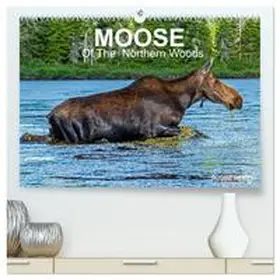 Henry / CALVENDO |  MOOSE Of The Northern Woods (High Quality Premium Wall Calendar 2026 DIN A2 landscape),CALVENDO 12 Month Wall Calendar | Sonstiges |  Sack Fachmedien