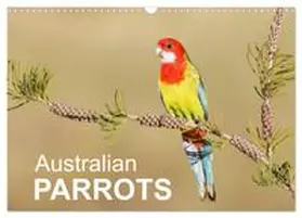 CALVENDO / - birdimagency |  Australian Parrots (Wall Calendar 2026 DIN A3 landscape), CALVENDO 12 Month Wall Calendar | Sonstiges |  Sack Fachmedien