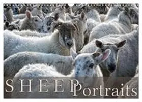 CALVENDO / Cross |  Sheep Portraits (Wall Calendar 2026 DIN A3 landscape), CALVENDO 12 Month Wall Calendar | Sonstiges |  Sack Fachmedien