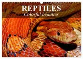CALVENDO / Stanzer |  Reptiles Colorful beauties (Wall Calendar 2026 DIN A3 landscape), CALVENDO 12 Month Wall Calendar | Sonstiges |  Sack Fachmedien