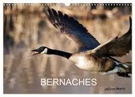 Henry / CALVENDO |  BERNACHES (Calendrier mural 2026 DIN A3 vertical), CALVENDO calendrier mensuel | Sonstiges |  Sack Fachmedien