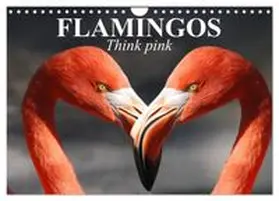 CALVENDO / Stanzer |  Flamingos Think pink (Wall Calendar 2026 DIN A4 landscape), CALVENDO 12 Month Wall Calendar | Sonstiges |  Sack Fachmedien
