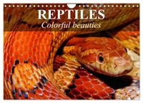 CALVENDO / Stanzer |  Reptiles Colorful beauties (Wall Calendar 2026 DIN A4 landscape), CALVENDO 12 Month Wall Calendar | Sonstiges |  Sack Fachmedien