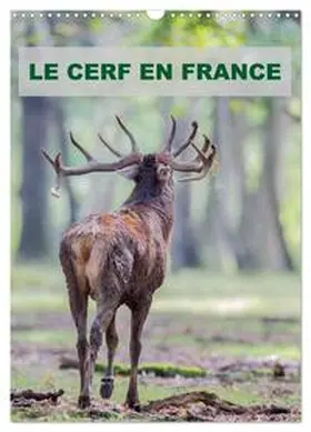 Edouard / CALVENDO |  LE CERF EN FRANCE (Calendrier mural 2026 DIN A3 horizontal), CALVENDO calendrier mensuel | Sonstiges |  Sack Fachmedien