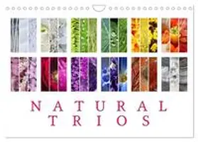 CALVENDO / Cross |  Natural Trios (Wall Calendar 2026 DIN A4 landscape), CALVENDO 12 Month Wall Calendar | Sonstiges |  Sack Fachmedien