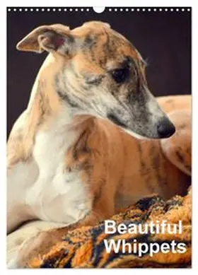 CALVENDO / Redl |  Beautiful Whippets (Wall Calendar 2026 DIN A3 portrait), CALVENDO 12 Month Wall Calendar | Sonstiges |  Sack Fachmedien