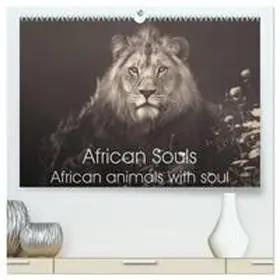 Kulpa / CALVENDO |  African Souls African animals with soul (High Quality Premium Wall Calendar 2026 DIN A2 landscape),CALVENDO 12 Month Wall Calendar | Sonstiges |  Sack Fachmedien