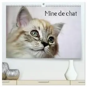 CALVENDO / Chrystal |  Mine de chat  (Calendrier mural 2026 DIN A2 vertical) calendrier de bureau | Sonstiges |  Sack Fachmedien