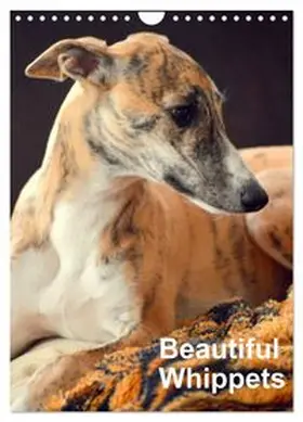 CALVENDO / Redl |  Beautiful Whippets (Wall Calendar 2026 DIN A4 portrait), CALVENDO 12 Month Wall Calendar | Sonstiges |  Sack Fachmedien