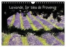 CALVENDO / François LEPAGE © |  Lavande, l'or bleu de Provence (Calendrier mural 2026 DIN A4 vertical), CALVENDO calendrier mensuel | Sonstiges |  Sack Fachmedien