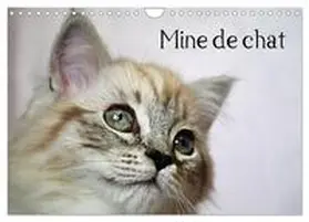 CALVENDO / Chrystal |  Mine de chat (Calendrier mural 2026 DIN A4 vertical), CALVENDO calendrier mensuel | Sonstiges |  Sack Fachmedien