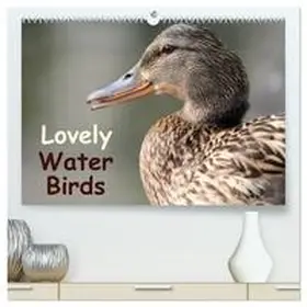 Meißner / CALVENDO |  Lovely Water Birds (High Quality Premium Wall Calendar 2026 DIN A2 landscape),CALVENDO 12 Month Wall Calendar | Sonstiges |  Sack Fachmedien