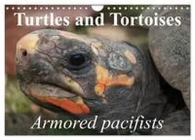 Stanzer / CALVENDO |  Turtles and Tortoises - Armored pacifists (Wall Calendar 2026 DIN A4 landscape), CALVENDO 12 Month Wall Calendar | Sonstiges |  Sack Fachmedien